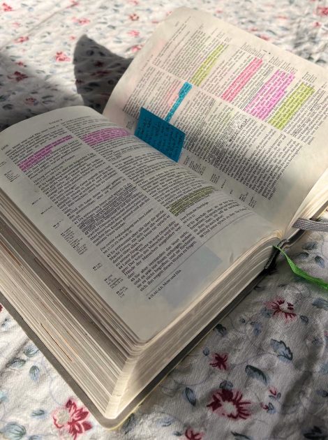 0262c4a9 b7ee 4b94 b0f1 d697e914ea76